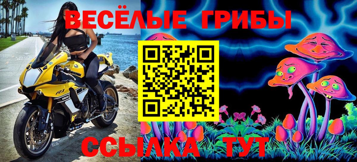 Галлюциногенные грибы Psilocybe Шелехов