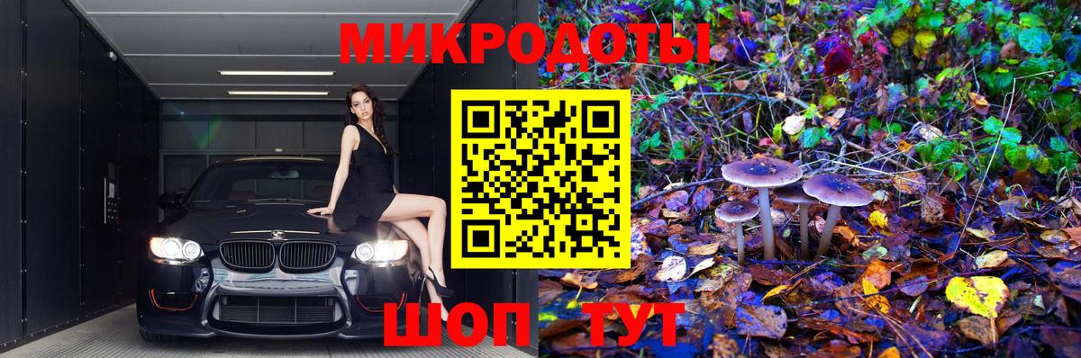Шелехов  где найти   Вход с VPN  Галлюциногенные грибы Psilocybine cubensis 