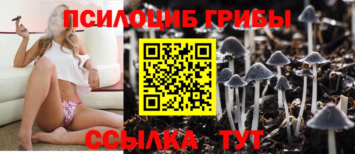 Псилоцибиновые грибы MAGIC MUSHROOMS  Вход с VPN  Шелехов  Галлюциногенные грибы Psilocybe 